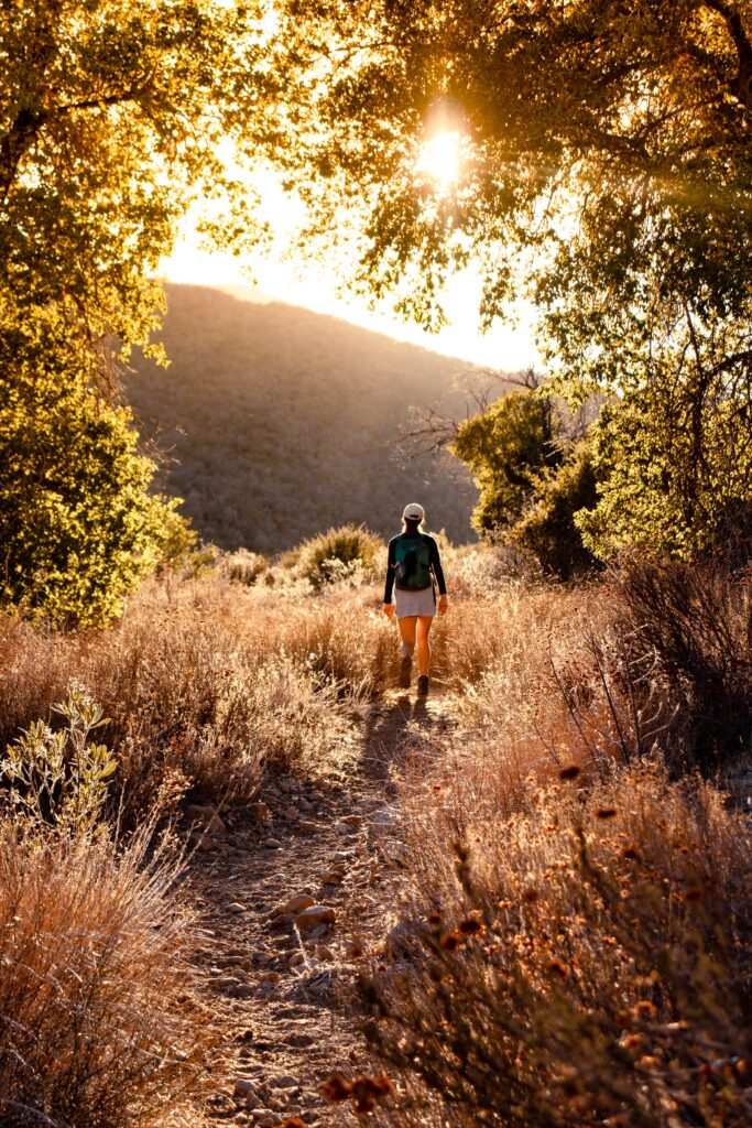 Hiking trails in th US Photo by Erin O'Brien on Unsplash