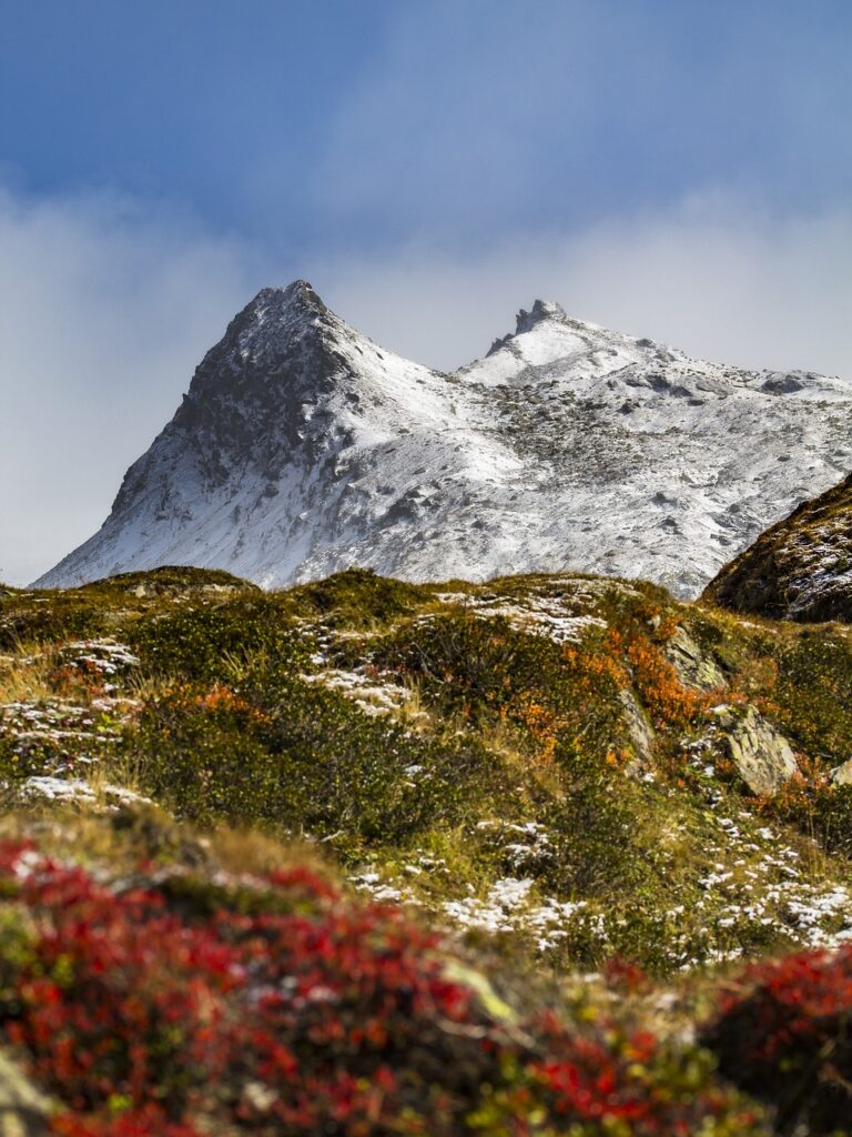 Must-Have Hiking Essentials for Safety and Comfort on the Trail 6 Hiking grars for mountain